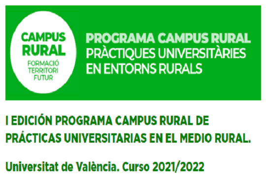 Image de la noticia